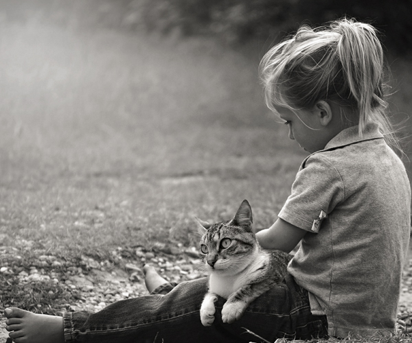 Cat and Child